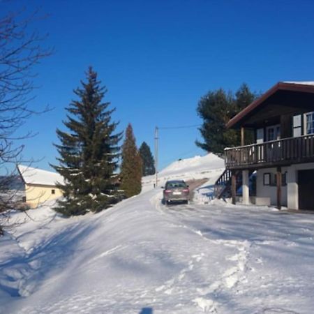 Вилла Le P'Tit Caribou, Pres Des Pistes Жерарме Экстерьер фото